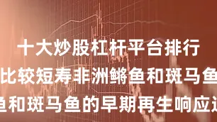 十大炒股杠杆平台排行我们通过比较短寿非洲鳉鱼和斑马鱼的早期再生响应过程