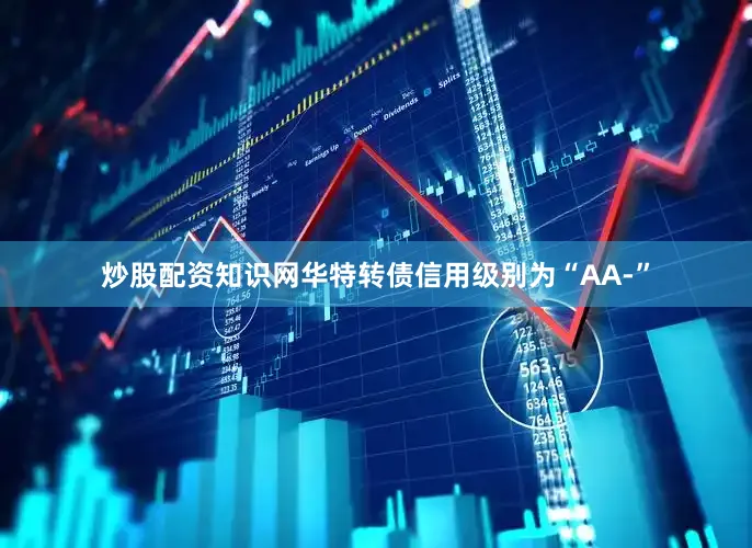 炒股配资知识网华特转债信用级别为“AA-”