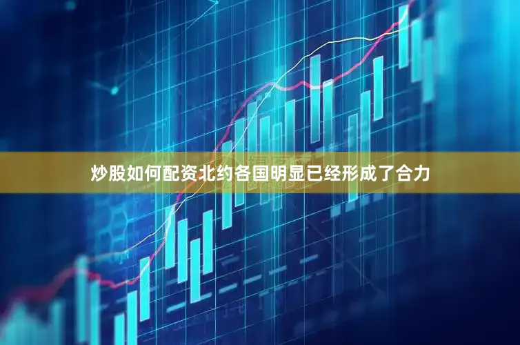 炒股如何配资北约各国明显已经形成了合力